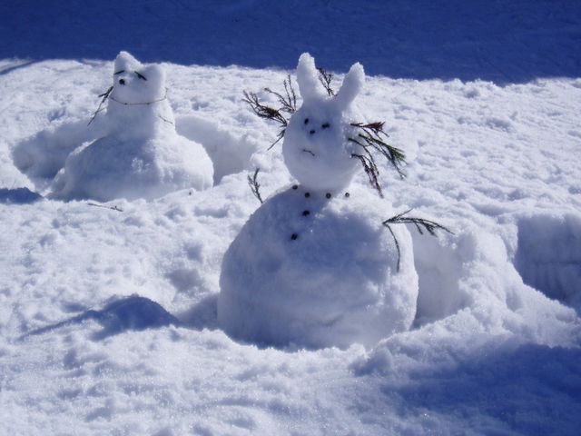 �~�᎞�͐�V�т��ł��܂���_���襖��̐X����