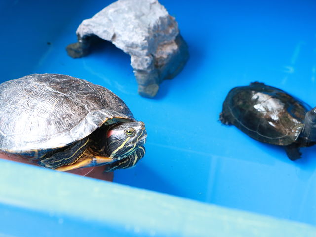 �J���ƐG�ꍇ�����Ƃ��ł��܂�_���襖��̐X����