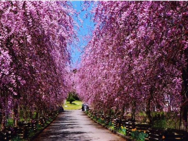 ���s�{�Ή��Z���^�[�̂������