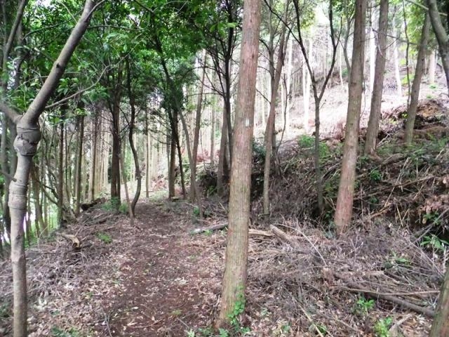 ��㒆�w�Z�Ɛ쉈���̗V�����̎ʐ^1