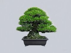 �S���A�ؖ~�̓Z���^�[�̎ʐ^1