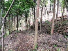 ��㒆�w�Z�Ɛ쉈���̗V�����̎ʐ^1