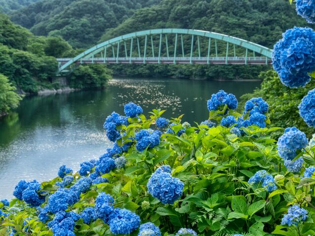 ���P���_���̎ʐ^4