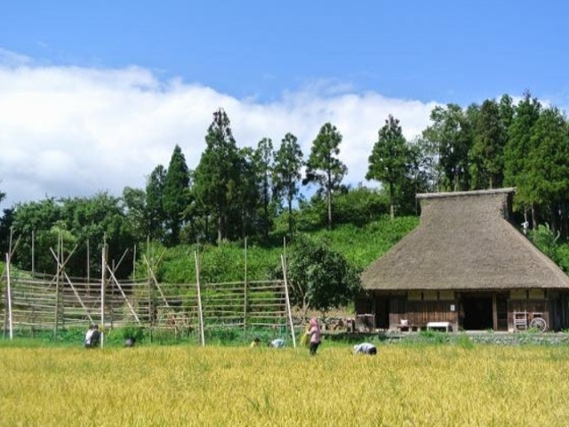 ���r�����n