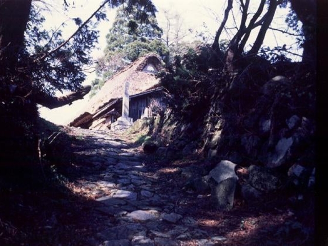 ���r�����n