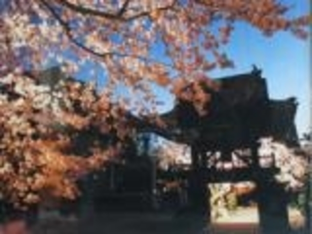 �C�ӎR�@�����̎ʐ^1