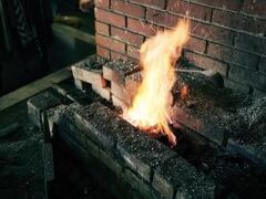 ���{���b�B�������J�̎ʐ^1