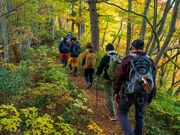 �F��R�̎ʐ^2