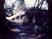 ���r�����n�̎ʐ^3