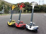 ���l���G�l���M�[������̌��ق����ς��̎ʐ^4