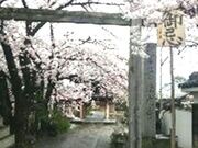 �C�ӎR�@�����̎ʐ^2