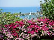 �[���`�ό��ē����@����ۂ邽�̎ʐ^2