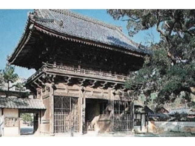 ���h�������O��̎ʐ^1