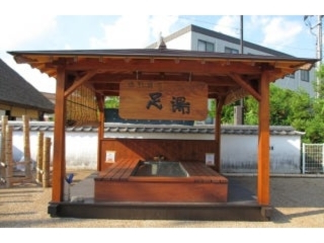 ���쉷�򑫓��̎ʐ^1