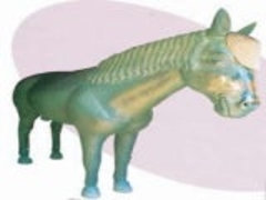 �����_�n�̎ʐ^1