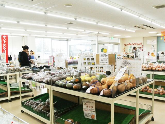 �ԂƗ΂̃V���{���]�[������炱���ǂ̎ʐ^1