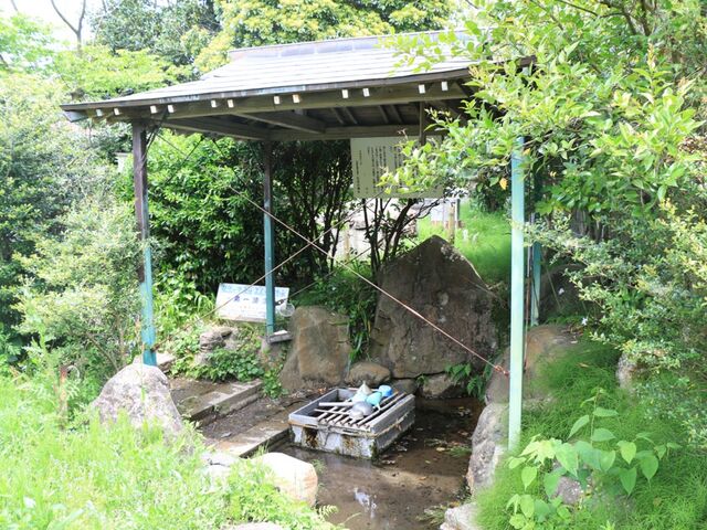 �O�@�����i�����ڂ����݂��j�m�V���s�n�̎ʐ^1