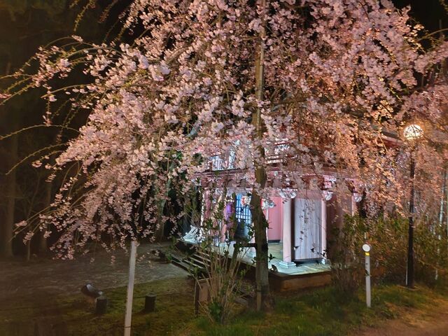 ���@�@�{�R���c�@�@���R�@���@���̎ʐ^1