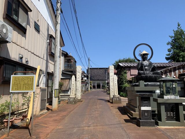 �h�y���̎ʐ^1