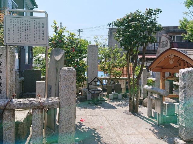 ���R�i�V���{�R�j�㗤�̒n�̎ʐ^1