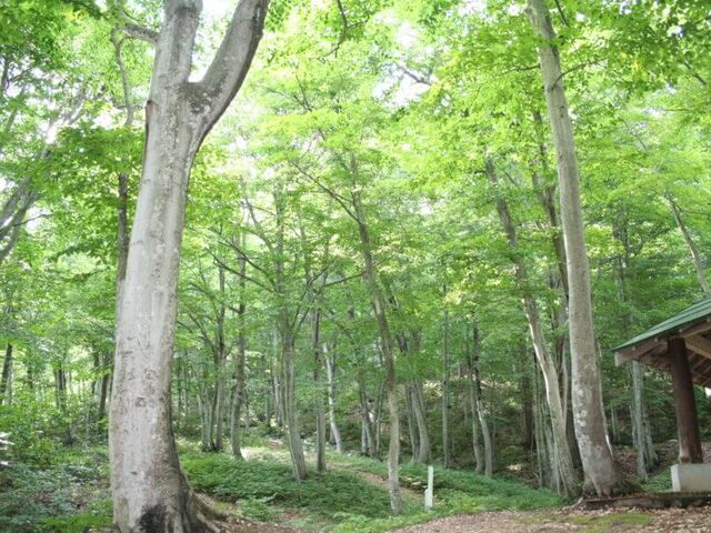 ��Z�����u�i�т̎ʐ^1