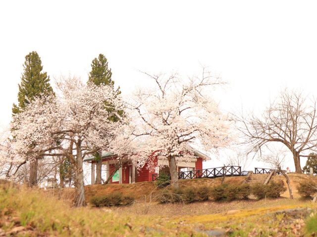 �����R�E�ω��R�����̎ʐ^1