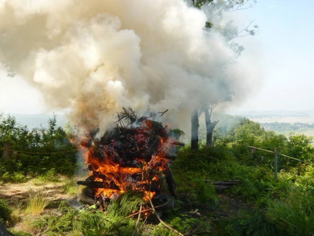 �����Ղ̎ʐ^1