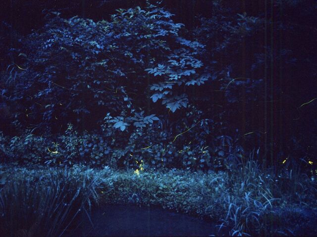 �m��ق�������̎ʐ^1