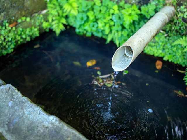 �{�ꐴ���i�悤�₵�݂��j�̎ʐ^1