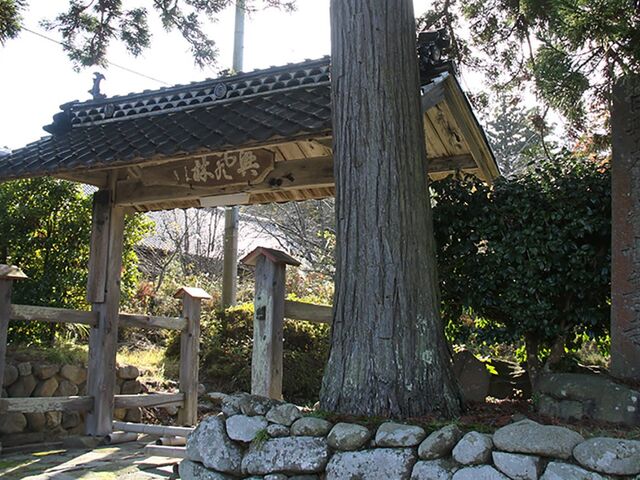 �������̎ʐ^1