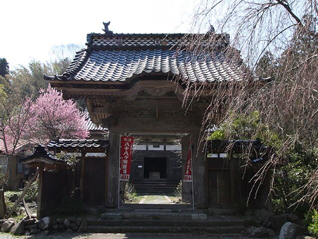 �������̎ʐ^1