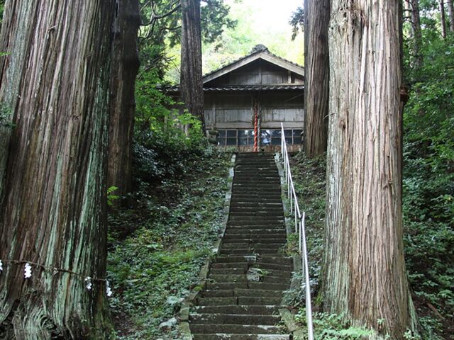 ���{���H���_�Ђ̎ʐ^1