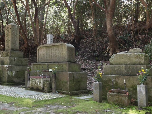 ���h�l�̕�̎ʐ^1