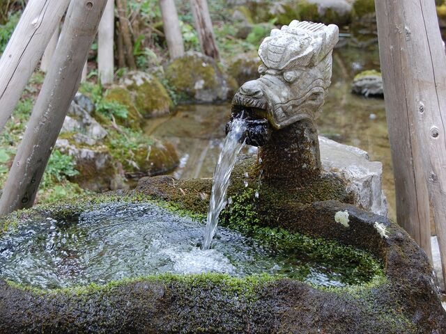 �ܗ��߉ޓ����n���i���Ⴉ�ǂ��̂��ڂ݂��j�̎ʐ^1