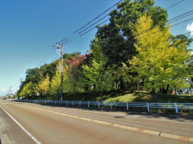 �k�����̎ʐ^1