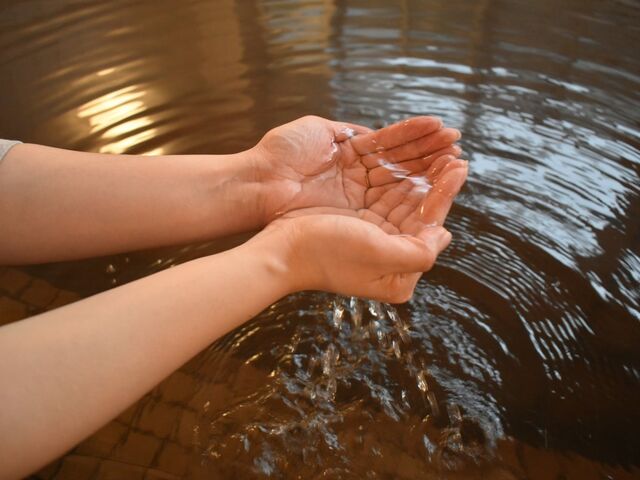 ���̓�����