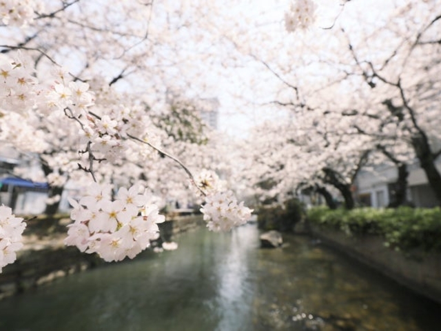 ����Γ������E�}��Γ������̎ʐ^1