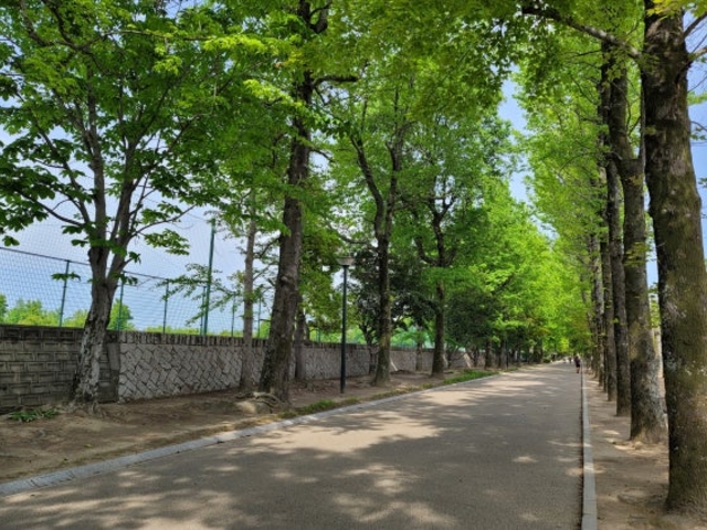 ���R�������O���E���h