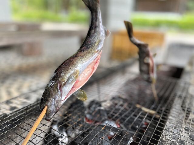 �ʏ��A�E�g�h�A�X�|�[�c�Z���^�[