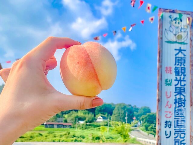 �匴�ό��ʎ����̎ʐ^1