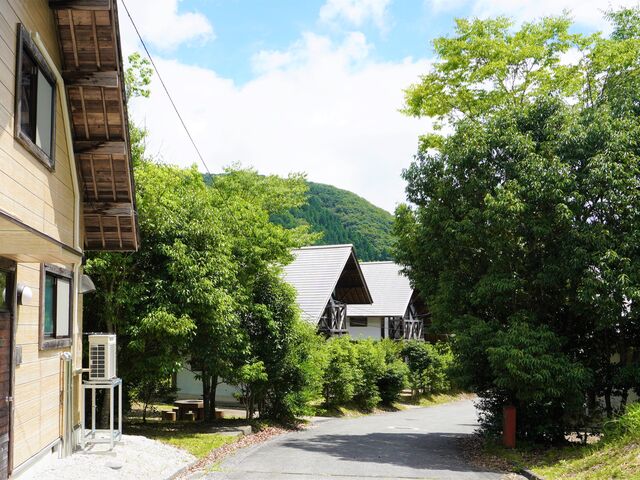 �O���[���~���[�W�A���_������