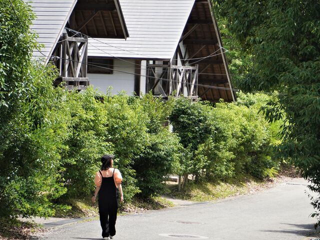 �O���[���~���[�W�A���_������