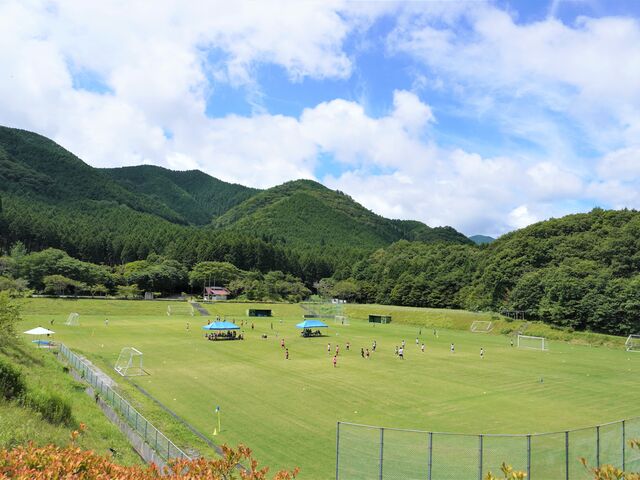 �O���[���~���[�W�A���_������