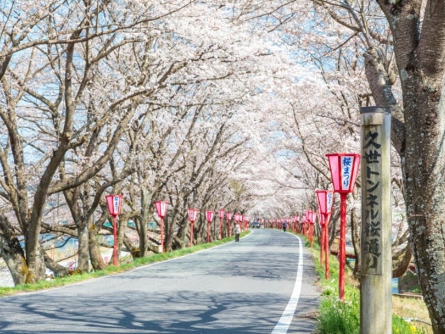 �v���g���l�����̎ʐ^1