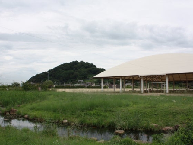 ����s�O�c�R�X�|�[�c�����̎ʐ^1