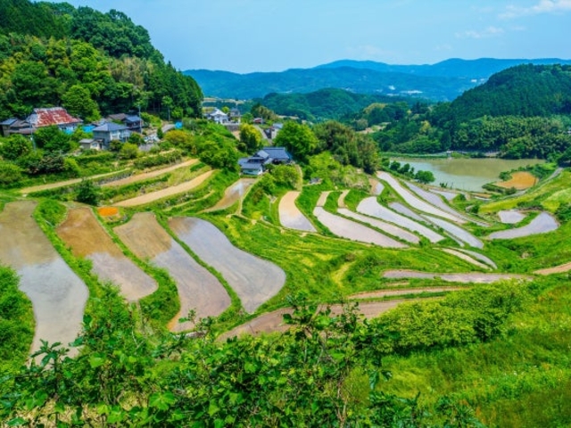 �k���I�c�̎ʐ^1