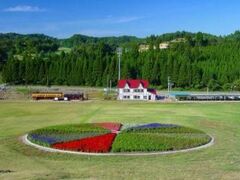 �~���z�X�L�[�K�[�f���i���ړI�L��j�̎ʐ^1