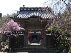 �������̎ʐ^1