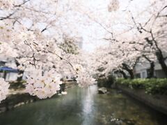 ����Γ������E�}��Γ������̎ʐ^1