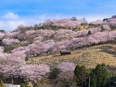 �폼�R���������n�̎ʐ^1